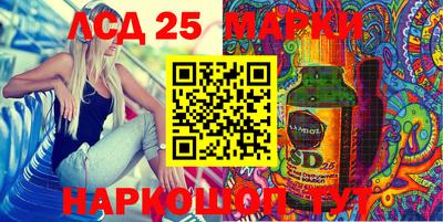mdpv Ярославль