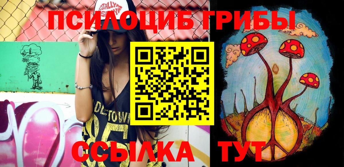 Псилоцибиновые грибы Cubensis Унеча