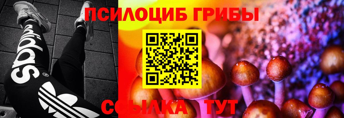 Унеча  Галлюциногенные грибы прущие грибы  Вход с VPN  Псилоцибиновые грибы Magic Shrooms 