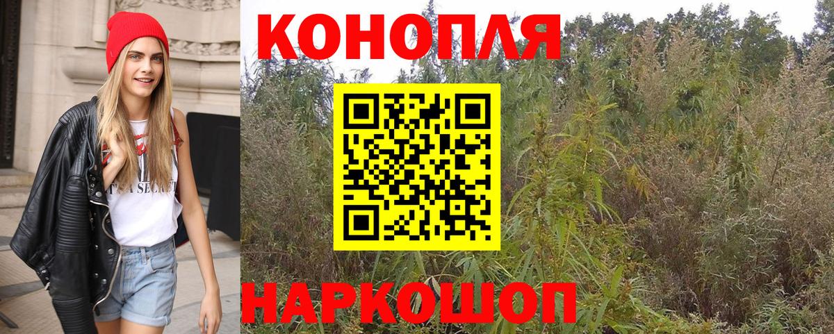 Канабис MAZAR Унеча